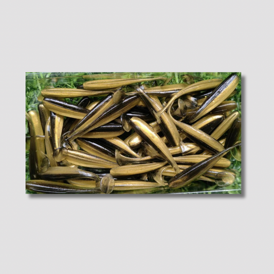 Lot de 50 pièces leurres souple plusieurs coloris et plusieurs dimensions au choix L'Univers des Pêcheurs