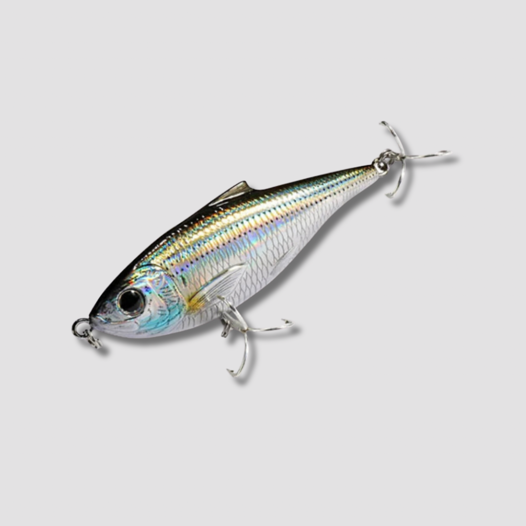 Leurre Coulant Flottant – 2 Tailles (20g/9cm & 12g/7.5cm) – Spécial Pêche en Mer L'Univers des Pêcheurs